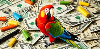 parrot ownership costs