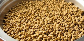 Chicken Meal in Cat Food
