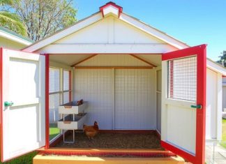 best chicken coop features